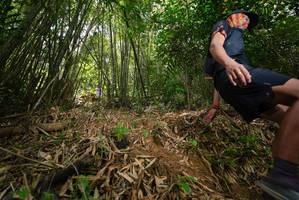 BIB: 
                            <button type="button" onclick="openModal(21773946)" class="btn btn-primary btn-sm float-right btn-popup" data-toggle="modal" data-target=".modal-high-quality">
                        <i class="fas fa-shopping-cart"></i> Add to Cart
                    </button>
                                            <button type="button" onclick="isThisMe(21773946, true)" class="btn btn-success btn-sm float-right btn-popup btn-isme hidden" data-toggle="tooltip" data-placement="bottom" title="นี่คือรูปของคุณใช่ไหม คลิกที่นี่เพื่อเอาเข้าอัลบั้ม">
                        <i class="fas fa-plus"></i> Add to album
                    </button>
                    <button type="button" onclick="isThisMe(21773946, false)" class="btn btn-warning btn-sm float-right btn-popup btn-isnotme hidden">
                        <i class="fas fa-ban"></i> Remove from album
                    </button>