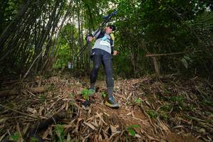 BIB: 
                            <button type="button" onclick="openModal(21753866)" class="btn btn-primary btn-sm float-right btn-popup" data-toggle="modal" data-target=".modal-high-quality">
                        <i class="fas fa-shopping-cart"></i> Add to Cart
                    </button>
                                            <button type="button" onclick="isThisMe(21753866, true)" class="btn btn-success btn-sm float-right btn-popup btn-isme hidden" data-toggle="tooltip" data-placement="bottom" title="นี่คือรูปของคุณใช่ไหม คลิกที่นี่เพื่อเอาเข้าอัลบั้ม">
                        <i class="fas fa-plus"></i> Add to album
                    </button>
                    <button type="button" onclick="isThisMe(21753866, false)" class="btn btn-warning btn-sm float-right btn-popup btn-isnotme hidden">
                        <i class="fas fa-ban"></i> Remove from album
                    </button>