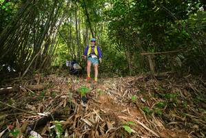 BIB: 
                            <button type="button" onclick="openModal(21752324)" class="btn btn-primary btn-sm float-right btn-popup" data-toggle="modal" data-target=".modal-high-quality">
                        <i class="fas fa-shopping-cart"></i> Add to Cart
                    </button>
                                            <button type="button" onclick="isThisMe(21752324, true)" class="btn btn-success btn-sm float-right btn-popup btn-isme hidden" data-toggle="tooltip" data-placement="bottom" title="นี่คือรูปของคุณใช่ไหม คลิกที่นี่เพื่อเอาเข้าอัลบั้ม">
                        <i class="fas fa-plus"></i> Add to album
                    </button>
                    <button type="button" onclick="isThisMe(21752324, false)" class="btn btn-warning btn-sm float-right btn-popup btn-isnotme hidden">
                        <i class="fas fa-ban"></i> Remove from album
                    </button>