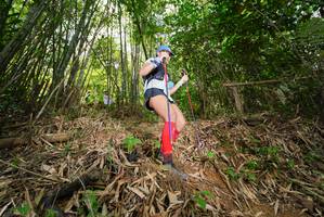 BIB: 
                            <button type="button" onclick="openModal(21755416)" class="btn btn-primary btn-sm float-right btn-popup" data-toggle="modal" data-target=".modal-high-quality">
                        <i class="fas fa-shopping-cart"></i> Add to Cart
                    </button>
                                            <button type="button" onclick="isThisMe(21755416, true)" class="btn btn-success btn-sm float-right btn-popup btn-isme hidden" data-toggle="tooltip" data-placement="bottom" title="นี่คือรูปของคุณใช่ไหม คลิกที่นี่เพื่อเอาเข้าอัลบั้ม">
                        <i class="fas fa-plus"></i> Add to album
                    </button>
                    <button type="button" onclick="isThisMe(21755416, false)" class="btn btn-warning btn-sm float-right btn-popup btn-isnotme hidden">
                        <i class="fas fa-ban"></i> Remove from album
                    </button>