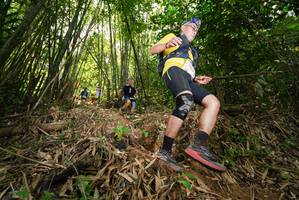 BIB: 
                            <button type="button" onclick="openModal(21784767)" class="btn btn-primary btn-sm float-right btn-popup" data-toggle="modal" data-target=".modal-high-quality">
                        <i class="fas fa-shopping-cart"></i> Add to Cart
                    </button>
                                            <button type="button" onclick="isThisMe(21784767, true)" class="btn btn-success btn-sm float-right btn-popup btn-isme hidden" data-toggle="tooltip" data-placement="bottom" title="นี่คือรูปของคุณใช่ไหม คลิกที่นี่เพื่อเอาเข้าอัลบั้ม">
                        <i class="fas fa-plus"></i> Add to album
                    </button>
                    <button type="button" onclick="isThisMe(21784767, false)" class="btn btn-warning btn-sm float-right btn-popup btn-isnotme hidden">
                        <i class="fas fa-ban"></i> Remove from album
                    </button>