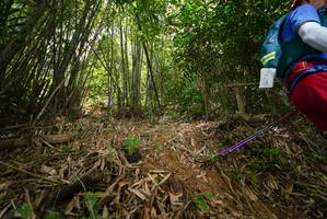 BIB: 
                            <button type="button" onclick="openModal(21774551)" class="btn btn-primary btn-sm float-right btn-popup" data-toggle="modal" data-target=".modal-high-quality">
                        <i class="fas fa-shopping-cart"></i> Add to Cart
                    </button>
                                            <button type="button" onclick="isThisMe(21774551, true)" class="btn btn-success btn-sm float-right btn-popup btn-isme hidden" data-toggle="tooltip" data-placement="bottom" title="นี่คือรูปของคุณใช่ไหม คลิกที่นี่เพื่อเอาเข้าอัลบั้ม">
                        <i class="fas fa-plus"></i> Add to album
                    </button>
                    <button type="button" onclick="isThisMe(21774551, false)" class="btn btn-warning btn-sm float-right btn-popup btn-isnotme hidden">
                        <i class="fas fa-ban"></i> Remove from album
                    </button>