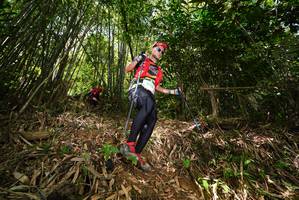 BIB: 
                            <button type="button" onclick="openModal(21749554)" class="btn btn-primary btn-sm float-right btn-popup" data-toggle="modal" data-target=".modal-high-quality">
                        <i class="fas fa-shopping-cart"></i> Add to Cart
                    </button>
                                            <button type="button" onclick="isThisMe(21749554, true)" class="btn btn-success btn-sm float-right btn-popup btn-isme hidden" data-toggle="tooltip" data-placement="bottom" title="นี่คือรูปของคุณใช่ไหม คลิกที่นี่เพื่อเอาเข้าอัลบั้ม">
                        <i class="fas fa-plus"></i> Add to album
                    </button>
                    <button type="button" onclick="isThisMe(21749554, false)" class="btn btn-warning btn-sm float-right btn-popup btn-isnotme hidden">
                        <i class="fas fa-ban"></i> Remove from album
                    </button>