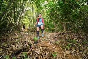 BIB: 
                            <button type="button" onclick="openModal(21772316)" class="btn btn-primary btn-sm float-right btn-popup" data-toggle="modal" data-target=".modal-high-quality">
                        <i class="fas fa-shopping-cart"></i> Add to Cart
                    </button>
                                            <button type="button" onclick="isThisMe(21772316, true)" class="btn btn-success btn-sm float-right btn-popup btn-isme hidden" data-toggle="tooltip" data-placement="bottom" title="นี่คือรูปของคุณใช่ไหม คลิกที่นี่เพื่อเอาเข้าอัลบั้ม">
                        <i class="fas fa-plus"></i> Add to album
                    </button>
                    <button type="button" onclick="isThisMe(21772316, false)" class="btn btn-warning btn-sm float-right btn-popup btn-isnotme hidden">
                        <i class="fas fa-ban"></i> Remove from album
                    </button>