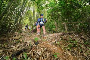 BIB: 
                            <button type="button" onclick="openModal(21776178)" class="btn btn-primary btn-sm float-right btn-popup" data-toggle="modal" data-target=".modal-high-quality">
                        <i class="fas fa-shopping-cart"></i> Add to Cart
                    </button>
                                            <button type="button" onclick="isThisMe(21776178, true)" class="btn btn-success btn-sm float-right btn-popup btn-isme hidden" data-toggle="tooltip" data-placement="bottom" title="นี่คือรูปของคุณใช่ไหม คลิกที่นี่เพื่อเอาเข้าอัลบั้ม">
                        <i class="fas fa-plus"></i> Add to album
                    </button>
                    <button type="button" onclick="isThisMe(21776178, false)" class="btn btn-warning btn-sm float-right btn-popup btn-isnotme hidden">
                        <i class="fas fa-ban"></i> Remove from album
                    </button>