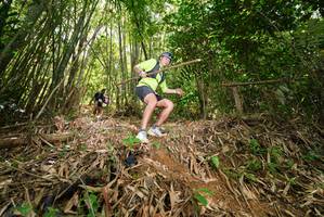 BIB: 
                            <button type="button" onclick="openModal(21787766)" class="btn btn-primary btn-sm float-right btn-popup" data-toggle="modal" data-target=".modal-high-quality">
                        <i class="fas fa-shopping-cart"></i> Add to Cart
                    </button>
                                            <button type="button" onclick="isThisMe(21787766, true)" class="btn btn-success btn-sm float-right btn-popup btn-isme hidden" data-toggle="tooltip" data-placement="bottom" title="นี่คือรูปของคุณใช่ไหม คลิกที่นี่เพื่อเอาเข้าอัลบั้ม">
                        <i class="fas fa-plus"></i> Add to album
                    </button>
                    <button type="button" onclick="isThisMe(21787766, false)" class="btn btn-warning btn-sm float-right btn-popup btn-isnotme hidden">
                        <i class="fas fa-ban"></i> Remove from album
                    </button>