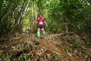 BIB: 
                            <button type="button" onclick="openModal(21773474)" class="btn btn-primary btn-sm float-right btn-popup" data-toggle="modal" data-target=".modal-high-quality">
                        <i class="fas fa-shopping-cart"></i> Add to Cart
                    </button>
                                            <button type="button" onclick="isThisMe(21773474, true)" class="btn btn-success btn-sm float-right btn-popup btn-isme hidden" data-toggle="tooltip" data-placement="bottom" title="นี่คือรูปของคุณใช่ไหม คลิกที่นี่เพื่อเอาเข้าอัลบั้ม">
                        <i class="fas fa-plus"></i> Add to album
                    </button>
                    <button type="button" onclick="isThisMe(21773474, false)" class="btn btn-warning btn-sm float-right btn-popup btn-isnotme hidden">
                        <i class="fas fa-ban"></i> Remove from album
                    </button>