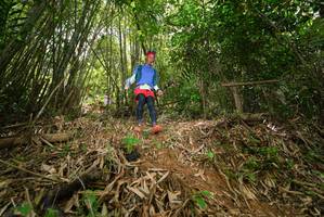 BIB: 
                            <button type="button" onclick="openModal(21774378)" class="btn btn-primary btn-sm float-right btn-popup" data-toggle="modal" data-target=".modal-high-quality">
                        <i class="fas fa-shopping-cart"></i> Add to Cart
                    </button>
                                            <button type="button" onclick="isThisMe(21774378, true)" class="btn btn-success btn-sm float-right btn-popup btn-isme hidden" data-toggle="tooltip" data-placement="bottom" title="นี่คือรูปของคุณใช่ไหม คลิกที่นี่เพื่อเอาเข้าอัลบั้ม">
                        <i class="fas fa-plus"></i> Add to album
                    </button>
                    <button type="button" onclick="isThisMe(21774378, false)" class="btn btn-warning btn-sm float-right btn-popup btn-isnotme hidden">
                        <i class="fas fa-ban"></i> Remove from album
                    </button>