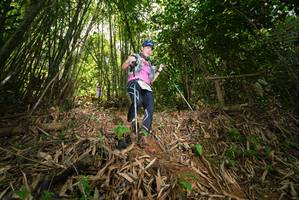 BIB: 
                            <button type="button" onclick="openModal(21785403)" class="btn btn-primary btn-sm float-right btn-popup" data-toggle="modal" data-target=".modal-high-quality">
                        <i class="fas fa-shopping-cart"></i> Add to Cart
                    </button>
                                            <button type="button" onclick="isThisMe(21785403, true)" class="btn btn-success btn-sm float-right btn-popup btn-isme hidden" data-toggle="tooltip" data-placement="bottom" title="นี่คือรูปของคุณใช่ไหม คลิกที่นี่เพื่อเอาเข้าอัลบั้ม">
                        <i class="fas fa-plus"></i> Add to album
                    </button>
                    <button type="button" onclick="isThisMe(21785403, false)" class="btn btn-warning btn-sm float-right btn-popup btn-isnotme hidden">
                        <i class="fas fa-ban"></i> Remove from album
                    </button>