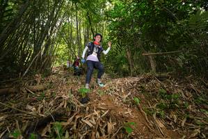 BIB: 
                            <button type="button" onclick="openModal(21777722)" class="btn btn-primary btn-sm float-right btn-popup" data-toggle="modal" data-target=".modal-high-quality">
                        <i class="fas fa-shopping-cart"></i> Add to Cart
                    </button>
                                            <button type="button" onclick="isThisMe(21777722, true)" class="btn btn-success btn-sm float-right btn-popup btn-isme hidden" data-toggle="tooltip" data-placement="bottom" title="นี่คือรูปของคุณใช่ไหม คลิกที่นี่เพื่อเอาเข้าอัลบั้ม">
                        <i class="fas fa-plus"></i> Add to album
                    </button>
                    <button type="button" onclick="isThisMe(21777722, false)" class="btn btn-warning btn-sm float-right btn-popup btn-isnotme hidden">
                        <i class="fas fa-ban"></i> Remove from album
                    </button>