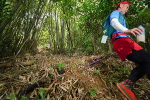 BIB: 
                            <button type="button" onclick="openModal(21774549)" class="btn btn-primary btn-sm float-right btn-popup" data-toggle="modal" data-target=".modal-high-quality">
                        <i class="fas fa-shopping-cart"></i> Add to Cart
                    </button>
                                            <button type="button" onclick="isThisMe(21774549, true)" class="btn btn-success btn-sm float-right btn-popup btn-isme hidden" data-toggle="tooltip" data-placement="bottom" title="นี่คือรูปของคุณใช่ไหม คลิกที่นี่เพื่อเอาเข้าอัลบั้ม">
                        <i class="fas fa-plus"></i> Add to album
                    </button>
                    <button type="button" onclick="isThisMe(21774549, false)" class="btn btn-warning btn-sm float-right btn-popup btn-isnotme hidden">
                        <i class="fas fa-ban"></i> Remove from album
                    </button>