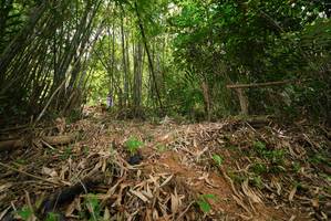 BIB: 
                            <button type="button" onclick="openModal(21777486)" class="btn btn-primary btn-sm float-right btn-popup" data-toggle="modal" data-target=".modal-high-quality">
                        <i class="fas fa-shopping-cart"></i> Add to Cart
                    </button>
                                            <button type="button" onclick="isThisMe(21777486, true)" class="btn btn-success btn-sm float-right btn-popup btn-isme hidden" data-toggle="tooltip" data-placement="bottom" title="นี่คือรูปของคุณใช่ไหม คลิกที่นี่เพื่อเอาเข้าอัลบั้ม">
                        <i class="fas fa-plus"></i> Add to album
                    </button>
                    <button type="button" onclick="isThisMe(21777486, false)" class="btn btn-warning btn-sm float-right btn-popup btn-isnotme hidden">
                        <i class="fas fa-ban"></i> Remove from album
                    </button>