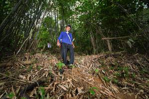 BIB: 
                            <button type="button" onclick="openModal(21751523)" class="btn btn-primary btn-sm float-right btn-popup" data-toggle="modal" data-target=".modal-high-quality">
                        <i class="fas fa-shopping-cart"></i> Add to Cart
                    </button>
                                            <button type="button" onclick="isThisMe(21751523, true)" class="btn btn-success btn-sm float-right btn-popup btn-isme hidden" data-toggle="tooltip" data-placement="bottom" title="นี่คือรูปของคุณใช่ไหม คลิกที่นี่เพื่อเอาเข้าอัลบั้ม">
                        <i class="fas fa-plus"></i> Add to album
                    </button>
                    <button type="button" onclick="isThisMe(21751523, false)" class="btn btn-warning btn-sm float-right btn-popup btn-isnotme hidden">
                        <i class="fas fa-ban"></i> Remove from album
                    </button>