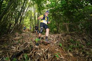 BIB: 
                            <button type="button" onclick="openModal(21784757)" class="btn btn-primary btn-sm float-right btn-popup" data-toggle="modal" data-target=".modal-high-quality">
                        <i class="fas fa-shopping-cart"></i> Add to Cart
                    </button>
                                            <button type="button" onclick="isThisMe(21784757, true)" class="btn btn-success btn-sm float-right btn-popup btn-isme hidden" data-toggle="tooltip" data-placement="bottom" title="นี่คือรูปของคุณใช่ไหม คลิกที่นี่เพื่อเอาเข้าอัลบั้ม">
                        <i class="fas fa-plus"></i> Add to album
                    </button>
                    <button type="button" onclick="isThisMe(21784757, false)" class="btn btn-warning btn-sm float-right btn-popup btn-isnotme hidden">
                        <i class="fas fa-ban"></i> Remove from album
                    </button>