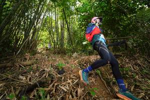 BIB: 
                            <button type="button" onclick="openModal(21777942)" class="btn btn-primary btn-sm float-right btn-popup" data-toggle="modal" data-target=".modal-high-quality">
                        <i class="fas fa-shopping-cart"></i> Add to Cart
                    </button>
                                            <button type="button" onclick="isThisMe(21777942, true)" class="btn btn-success btn-sm float-right btn-popup btn-isme hidden" data-toggle="tooltip" data-placement="bottom" title="นี่คือรูปของคุณใช่ไหม คลิกที่นี่เพื่อเอาเข้าอัลบั้ม">
                        <i class="fas fa-plus"></i> Add to album
                    </button>
                    <button type="button" onclick="isThisMe(21777942, false)" class="btn btn-warning btn-sm float-right btn-popup btn-isnotme hidden">
                        <i class="fas fa-ban"></i> Remove from album
                    </button>