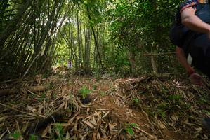 BIB: 
                            <button type="button" onclick="openModal(21773960)" class="btn btn-primary btn-sm float-right btn-popup" data-toggle="modal" data-target=".modal-high-quality">
                        <i class="fas fa-shopping-cart"></i> Add to Cart
                    </button>
                                            <button type="button" onclick="isThisMe(21773960, true)" class="btn btn-success btn-sm float-right btn-popup btn-isme hidden" data-toggle="tooltip" data-placement="bottom" title="นี่คือรูปของคุณใช่ไหม คลิกที่นี่เพื่อเอาเข้าอัลบั้ม">
                        <i class="fas fa-plus"></i> Add to album
                    </button>
                    <button type="button" onclick="isThisMe(21773960, false)" class="btn btn-warning btn-sm float-right btn-popup btn-isnotme hidden">
                        <i class="fas fa-ban"></i> Remove from album
                    </button>