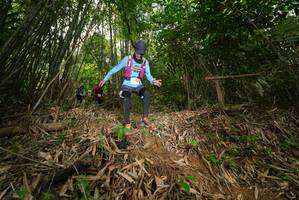 BIB: 
                            <button type="button" onclick="openModal(21755600)" class="btn btn-primary btn-sm float-right btn-popup" data-toggle="modal" data-target=".modal-high-quality">
                        <i class="fas fa-shopping-cart"></i> Add to Cart
                    </button>
                                            <button type="button" onclick="isThisMe(21755600, true)" class="btn btn-success btn-sm float-right btn-popup btn-isme hidden" data-toggle="tooltip" data-placement="bottom" title="นี่คือรูปของคุณใช่ไหม คลิกที่นี่เพื่อเอาเข้าอัลบั้ม">
                        <i class="fas fa-plus"></i> Add to album
                    </button>
                    <button type="button" onclick="isThisMe(21755600, false)" class="btn btn-warning btn-sm float-right btn-popup btn-isnotme hidden">
                        <i class="fas fa-ban"></i> Remove from album
                    </button>