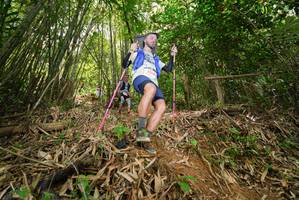 BIB: 
                            <button type="button" onclick="openModal(21776372)" class="btn btn-primary btn-sm float-right btn-popup" data-toggle="modal" data-target=".modal-high-quality">
                        <i class="fas fa-shopping-cart"></i> Add to Cart
                    </button>
                                            <button type="button" onclick="isThisMe(21776372, true)" class="btn btn-success btn-sm float-right btn-popup btn-isme hidden" data-toggle="tooltip" data-placement="bottom" title="นี่คือรูปของคุณใช่ไหม คลิกที่นี่เพื่อเอาเข้าอัลบั้ม">
                        <i class="fas fa-plus"></i> Add to album
                    </button>
                    <button type="button" onclick="isThisMe(21776372, false)" class="btn btn-warning btn-sm float-right btn-popup btn-isnotme hidden">
                        <i class="fas fa-ban"></i> Remove from album
                    </button>