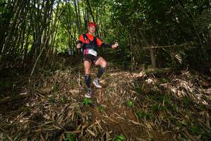 BIB: 
                            <button type="button" onclick="openModal(21747391)" class="btn btn-primary btn-sm float-right btn-popup" data-toggle="modal" data-target=".modal-high-quality">
                        <i class="fas fa-shopping-cart"></i> Add to Cart
                    </button>
                                            <button type="button" onclick="isThisMe(21747391, true)" class="btn btn-success btn-sm float-right btn-popup btn-isme hidden" data-toggle="tooltip" data-placement="bottom" title="นี่คือรูปของคุณใช่ไหม คลิกที่นี่เพื่อเอาเข้าอัลบั้ม">
                        <i class="fas fa-plus"></i> Add to album
                    </button>
                    <button type="button" onclick="isThisMe(21747391, false)" class="btn btn-warning btn-sm float-right btn-popup btn-isnotme hidden">
                        <i class="fas fa-ban"></i> Remove from album
                    </button>