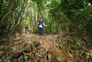 BIB: 
                            <button type="button" onclick="openModal(21787135)" class="btn btn-primary btn-sm float-right btn-popup" data-toggle="modal" data-target=".modal-high-quality">
                        <i class="fas fa-shopping-cart"></i> Add to Cart
                    </button>
                                            <button type="button" onclick="isThisMe(21787135, true)" class="btn btn-success btn-sm float-right btn-popup btn-isme hidden" data-toggle="tooltip" data-placement="bottom" title="นี่คือรูปของคุณใช่ไหม คลิกที่นี่เพื่อเอาเข้าอัลบั้ม">
                        <i class="fas fa-plus"></i> Add to album
                    </button>
                    <button type="button" onclick="isThisMe(21787135, false)" class="btn btn-warning btn-sm float-right btn-popup btn-isnotme hidden">
                        <i class="fas fa-ban"></i> Remove from album
                    </button>