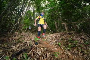 BIB: 
                            <button type="button" onclick="openModal(21782768)" class="btn btn-primary btn-sm float-right btn-popup" data-toggle="modal" data-target=".modal-high-quality">
                        <i class="fas fa-shopping-cart"></i> Add to Cart
                    </button>
                                            <button type="button" onclick="isThisMe(21782768, true)" class="btn btn-success btn-sm float-right btn-popup btn-isme hidden" data-toggle="tooltip" data-placement="bottom" title="นี่คือรูปของคุณใช่ไหม คลิกที่นี่เพื่อเอาเข้าอัลบั้ม">
                        <i class="fas fa-plus"></i> Add to album
                    </button>
                    <button type="button" onclick="isThisMe(21782768, false)" class="btn btn-warning btn-sm float-right btn-popup btn-isnotme hidden">
                        <i class="fas fa-ban"></i> Remove from album
                    </button>