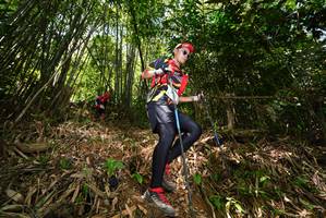 BIB: 
                            <button type="button" onclick="openModal(21749557)" class="btn btn-primary btn-sm float-right btn-popup" data-toggle="modal" data-target=".modal-high-quality">
                        <i class="fas fa-shopping-cart"></i> Add to Cart
                    </button>
                                            <button type="button" onclick="isThisMe(21749557, true)" class="btn btn-success btn-sm float-right btn-popup btn-isme hidden" data-toggle="tooltip" data-placement="bottom" title="นี่คือรูปของคุณใช่ไหม คลิกที่นี่เพื่อเอาเข้าอัลบั้ม">
                        <i class="fas fa-plus"></i> Add to album
                    </button>
                    <button type="button" onclick="isThisMe(21749557, false)" class="btn btn-warning btn-sm float-right btn-popup btn-isnotme hidden">
                        <i class="fas fa-ban"></i> Remove from album
                    </button>