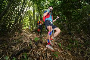 BIB: 
                            <button type="button" onclick="openModal(21785768)" class="btn btn-primary btn-sm float-right btn-popup" data-toggle="modal" data-target=".modal-high-quality">
                        <i class="fas fa-shopping-cart"></i> Add to Cart
                    </button>
                                            <button type="button" onclick="isThisMe(21785768, true)" class="btn btn-success btn-sm float-right btn-popup btn-isme hidden" data-toggle="tooltip" data-placement="bottom" title="นี่คือรูปของคุณใช่ไหม คลิกที่นี่เพื่อเอาเข้าอัลบั้ม">
                        <i class="fas fa-plus"></i> Add to album
                    </button>
                    <button type="button" onclick="isThisMe(21785768, false)" class="btn btn-warning btn-sm float-right btn-popup btn-isnotme hidden">
                        <i class="fas fa-ban"></i> Remove from album
                    </button>