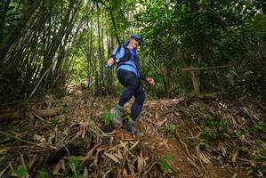 BIB: 
                            <button type="button" onclick="openModal(21777161)" class="btn btn-primary btn-sm float-right btn-popup" data-toggle="modal" data-target=".modal-high-quality">
                        <i class="fas fa-shopping-cart"></i> Add to Cart
                    </button>
                                            <button type="button" onclick="isThisMe(21777161, true)" class="btn btn-success btn-sm float-right btn-popup btn-isme hidden" data-toggle="tooltip" data-placement="bottom" title="นี่คือรูปของคุณใช่ไหม คลิกที่นี่เพื่อเอาเข้าอัลบั้ม">
                        <i class="fas fa-plus"></i> Add to album
                    </button>
                    <button type="button" onclick="isThisMe(21777161, false)" class="btn btn-warning btn-sm float-right btn-popup btn-isnotme hidden">
                        <i class="fas fa-ban"></i> Remove from album
                    </button>