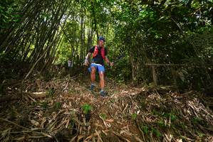 BIB: 
                            <button type="button" onclick="openModal(21749339)" class="btn btn-primary btn-sm float-right btn-popup" data-toggle="modal" data-target=".modal-high-quality">
                        <i class="fas fa-shopping-cart"></i> Add to Cart
                    </button>
                                            <button type="button" onclick="isThisMe(21749339, true)" class="btn btn-success btn-sm float-right btn-popup btn-isme hidden" data-toggle="tooltip" data-placement="bottom" title="นี่คือรูปของคุณใช่ไหม คลิกที่นี่เพื่อเอาเข้าอัลบั้ม">
                        <i class="fas fa-plus"></i> Add to album
                    </button>
                    <button type="button" onclick="isThisMe(21749339, false)" class="btn btn-warning btn-sm float-right btn-popup btn-isnotme hidden">
                        <i class="fas fa-ban"></i> Remove from album
                    </button>