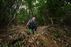 BIB: 
                            <button type="button" onclick="openModal(21778503)" class="btn btn-primary btn-sm float-right btn-popup" data-toggle="modal" data-target=".modal-high-quality">
                        <i class="fas fa-shopping-cart"></i> Add to Cart
                    </button>
                                            <button type="button" onclick="isThisMe(21778503, true)" class="btn btn-success btn-sm float-right btn-popup btn-isme hidden" data-toggle="tooltip" data-placement="bottom" title="นี่คือรูปของคุณใช่ไหม คลิกที่นี่เพื่อเอาเข้าอัลบั้ม">
                        <i class="fas fa-plus"></i> Add to album
                    </button>
                    <button type="button" onclick="isThisMe(21778503, false)" class="btn btn-warning btn-sm float-right btn-popup btn-isnotme hidden">
                        <i class="fas fa-ban"></i> Remove from album
                    </button>