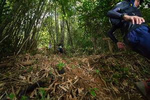 BIB: 
                            <button type="button" onclick="openModal(21769150)" class="btn btn-primary btn-sm float-right btn-popup" data-toggle="modal" data-target=".modal-high-quality">
                        <i class="fas fa-shopping-cart"></i> Add to Cart
                    </button>
                                            <button type="button" onclick="isThisMe(21769150, true)" class="btn btn-success btn-sm float-right btn-popup btn-isme hidden" data-toggle="tooltip" data-placement="bottom" title="นี่คือรูปของคุณใช่ไหม คลิกที่นี่เพื่อเอาเข้าอัลบั้ม">
                        <i class="fas fa-plus"></i> Add to album
                    </button>
                    <button type="button" onclick="isThisMe(21769150, false)" class="btn btn-warning btn-sm float-right btn-popup btn-isnotme hidden">
                        <i class="fas fa-ban"></i> Remove from album
                    </button>