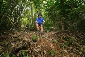 BIB: 
                            <button type="button" onclick="openModal(21767221)" class="btn btn-primary btn-sm float-right btn-popup" data-toggle="modal" data-target=".modal-high-quality">
                        <i class="fas fa-shopping-cart"></i> Add to Cart
                    </button>
                                            <button type="button" onclick="isThisMe(21767221, true)" class="btn btn-success btn-sm float-right btn-popup btn-isme hidden" data-toggle="tooltip" data-placement="bottom" title="นี่คือรูปของคุณใช่ไหม คลิกที่นี่เพื่อเอาเข้าอัลบั้ม">
                        <i class="fas fa-plus"></i> Add to album
                    </button>
                    <button type="button" onclick="isThisMe(21767221, false)" class="btn btn-warning btn-sm float-right btn-popup btn-isnotme hidden">
                        <i class="fas fa-ban"></i> Remove from album
                    </button>