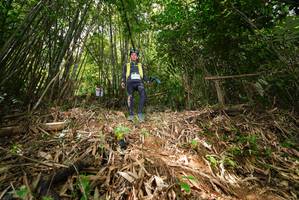 BIB: 
                            <button type="button" onclick="openModal(21750609)" class="btn btn-primary btn-sm float-right btn-popup" data-toggle="modal" data-target=".modal-high-quality">
                        <i class="fas fa-shopping-cart"></i> Add to Cart
                    </button>
                                            <button type="button" onclick="isThisMe(21750609, true)" class="btn btn-success btn-sm float-right btn-popup btn-isme hidden" data-toggle="tooltip" data-placement="bottom" title="นี่คือรูปของคุณใช่ไหม คลิกที่นี่เพื่อเอาเข้าอัลบั้ม">
                        <i class="fas fa-plus"></i> Add to album
                    </button>
                    <button type="button" onclick="isThisMe(21750609, false)" class="btn btn-warning btn-sm float-right btn-popup btn-isnotme hidden">
                        <i class="fas fa-ban"></i> Remove from album
                    </button>