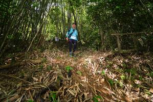 BIB: 
                            <button type="button" onclick="openModal(21749413)" class="btn btn-primary btn-sm float-right btn-popup" data-toggle="modal" data-target=".modal-high-quality">
                        <i class="fas fa-shopping-cart"></i> Add to Cart
                    </button>
                                            <button type="button" onclick="isThisMe(21749413, true)" class="btn btn-success btn-sm float-right btn-popup btn-isme hidden" data-toggle="tooltip" data-placement="bottom" title="นี่คือรูปของคุณใช่ไหม คลิกที่นี่เพื่อเอาเข้าอัลบั้ม">
                        <i class="fas fa-plus"></i> Add to album
                    </button>
                    <button type="button" onclick="isThisMe(21749413, false)" class="btn btn-warning btn-sm float-right btn-popup btn-isnotme hidden">
                        <i class="fas fa-ban"></i> Remove from album
                    </button>