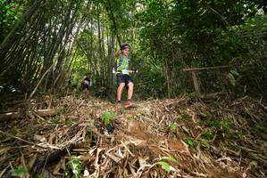 BIB: 
                            <button type="button" onclick="openModal(21751889)" class="btn btn-primary btn-sm float-right btn-popup" data-toggle="modal" data-target=".modal-high-quality">
                        <i class="fas fa-shopping-cart"></i> Add to Cart
                    </button>
                                            <button type="button" onclick="isThisMe(21751889, true)" class="btn btn-success btn-sm float-right btn-popup btn-isme hidden" data-toggle="tooltip" data-placement="bottom" title="นี่คือรูปของคุณใช่ไหม คลิกที่นี่เพื่อเอาเข้าอัลบั้ม">
                        <i class="fas fa-plus"></i> Add to album
                    </button>
                    <button type="button" onclick="isThisMe(21751889, false)" class="btn btn-warning btn-sm float-right btn-popup btn-isnotme hidden">
                        <i class="fas fa-ban"></i> Remove from album
                    </button>