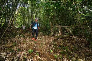 BIB: 
                            <button type="button" onclick="openModal(21745521)" class="btn btn-primary btn-sm float-right btn-popup" data-toggle="modal" data-target=".modal-high-quality">
                        <i class="fas fa-shopping-cart"></i> Add to Cart
                    </button>
                                            <button type="button" onclick="isThisMe(21745521, true)" class="btn btn-success btn-sm float-right btn-popup btn-isme hidden" data-toggle="tooltip" data-placement="bottom" title="นี่คือรูปของคุณใช่ไหม คลิกที่นี่เพื่อเอาเข้าอัลบั้ม">
                        <i class="fas fa-plus"></i> Add to album
                    </button>
                    <button type="button" onclick="isThisMe(21745521, false)" class="btn btn-warning btn-sm float-right btn-popup btn-isnotme hidden">
                        <i class="fas fa-ban"></i> Remove from album
                    </button>