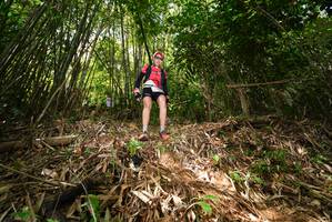 BIB: 
                            <button type="button" onclick="openModal(21750282)" class="btn btn-primary btn-sm float-right btn-popup" data-toggle="modal" data-target=".modal-high-quality">
                        <i class="fas fa-shopping-cart"></i> Add to Cart
                    </button>
                                            <button type="button" onclick="isThisMe(21750282, true)" class="btn btn-success btn-sm float-right btn-popup btn-isme hidden" data-toggle="tooltip" data-placement="bottom" title="นี่คือรูปของคุณใช่ไหม คลิกที่นี่เพื่อเอาเข้าอัลบั้ม">
                        <i class="fas fa-plus"></i> Add to album
                    </button>
                    <button type="button" onclick="isThisMe(21750282, false)" class="btn btn-warning btn-sm float-right btn-popup btn-isnotme hidden">
                        <i class="fas fa-ban"></i> Remove from album
                    </button>