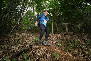 BIB: 
                            <button type="button" onclick="openModal(21783412)" class="btn btn-primary btn-sm float-right btn-popup" data-toggle="modal" data-target=".modal-high-quality">
                        <i class="fas fa-shopping-cart"></i> Add to Cart
                    </button>
                                            <button type="button" onclick="isThisMe(21783412, true)" class="btn btn-success btn-sm float-right btn-popup btn-isme hidden" data-toggle="tooltip" data-placement="bottom" title="นี่คือรูปของคุณใช่ไหม คลิกที่นี่เพื่อเอาเข้าอัลบั้ม">
                        <i class="fas fa-plus"></i> Add to album
                    </button>
                    <button type="button" onclick="isThisMe(21783412, false)" class="btn btn-warning btn-sm float-right btn-popup btn-isnotme hidden">
                        <i class="fas fa-ban"></i> Remove from album
                    </button>