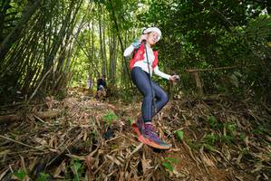 BIB: 
                            <button type="button" onclick="openModal(21786735)" class="btn btn-primary btn-sm float-right btn-popup" data-toggle="modal" data-target=".modal-high-quality">
                        <i class="fas fa-shopping-cart"></i> Add to Cart
                    </button>
                                            <button type="button" onclick="isThisMe(21786735, true)" class="btn btn-success btn-sm float-right btn-popup btn-isme hidden" data-toggle="tooltip" data-placement="bottom" title="นี่คือรูปของคุณใช่ไหม คลิกที่นี่เพื่อเอาเข้าอัลบั้ม">
                        <i class="fas fa-plus"></i> Add to album
                    </button>
                    <button type="button" onclick="isThisMe(21786735, false)" class="btn btn-warning btn-sm float-right btn-popup btn-isnotme hidden">
                        <i class="fas fa-ban"></i> Remove from album
                    </button>