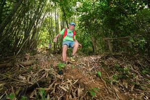 BIB: 
                            <button type="button" onclick="openModal(21780648)" class="btn btn-primary btn-sm float-right btn-popup" data-toggle="modal" data-target=".modal-high-quality">
                        <i class="fas fa-shopping-cart"></i> Add to Cart
                    </button>
                                            <button type="button" onclick="isThisMe(21780648, true)" class="btn btn-success btn-sm float-right btn-popup btn-isme hidden" data-toggle="tooltip" data-placement="bottom" title="นี่คือรูปของคุณใช่ไหม คลิกที่นี่เพื่อเอาเข้าอัลบั้ม">
                        <i class="fas fa-plus"></i> Add to album
                    </button>
                    <button type="button" onclick="isThisMe(21780648, false)" class="btn btn-warning btn-sm float-right btn-popup btn-isnotme hidden">
                        <i class="fas fa-ban"></i> Remove from album
                    </button>