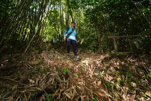 BIB: 
                            <button type="button" onclick="openModal(21749425)" class="btn btn-primary btn-sm float-right btn-popup" data-toggle="modal" data-target=".modal-high-quality">
                        <i class="fas fa-shopping-cart"></i> Add to Cart
                    </button>
                                            <button type="button" onclick="isThisMe(21749425, true)" class="btn btn-success btn-sm float-right btn-popup btn-isme hidden" data-toggle="tooltip" data-placement="bottom" title="นี่คือรูปของคุณใช่ไหม คลิกที่นี่เพื่อเอาเข้าอัลบั้ม">
                        <i class="fas fa-plus"></i> Add to album
                    </button>
                    <button type="button" onclick="isThisMe(21749425, false)" class="btn btn-warning btn-sm float-right btn-popup btn-isnotme hidden">
                        <i class="fas fa-ban"></i> Remove from album
                    </button>