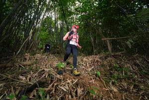 BIB: 
                            <button type="button" onclick="openModal(21784301)" class="btn btn-primary btn-sm float-right btn-popup" data-toggle="modal" data-target=".modal-high-quality">
                        <i class="fas fa-shopping-cart"></i> Add to Cart
                    </button>
                                            <button type="button" onclick="isThisMe(21784301, true)" class="btn btn-success btn-sm float-right btn-popup btn-isme hidden" data-toggle="tooltip" data-placement="bottom" title="นี่คือรูปของคุณใช่ไหม คลิกที่นี่เพื่อเอาเข้าอัลบั้ม">
                        <i class="fas fa-plus"></i> Add to album
                    </button>
                    <button type="button" onclick="isThisMe(21784301, false)" class="btn btn-warning btn-sm float-right btn-popup btn-isnotme hidden">
                        <i class="fas fa-ban"></i> Remove from album
                    </button>