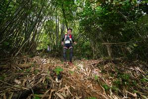 BIB: 
                            <button type="button" onclick="openModal(21749970)" class="btn btn-primary btn-sm float-right btn-popup" data-toggle="modal" data-target=".modal-high-quality">
                        <i class="fas fa-shopping-cart"></i> Add to Cart
                    </button>
                                            <button type="button" onclick="isThisMe(21749970, true)" class="btn btn-success btn-sm float-right btn-popup btn-isme hidden" data-toggle="tooltip" data-placement="bottom" title="นี่คือรูปของคุณใช่ไหม คลิกที่นี่เพื่อเอาเข้าอัลบั้ม">
                        <i class="fas fa-plus"></i> Add to album
                    </button>
                    <button type="button" onclick="isThisMe(21749970, false)" class="btn btn-warning btn-sm float-right btn-popup btn-isnotme hidden">
                        <i class="fas fa-ban"></i> Remove from album
                    </button>