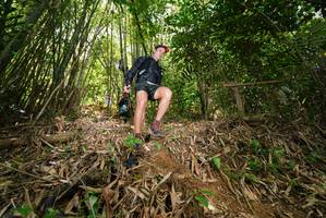 BIB: 
                            <button type="button" onclick="openModal(21787137)" class="btn btn-primary btn-sm float-right btn-popup" data-toggle="modal" data-target=".modal-high-quality">
                        <i class="fas fa-shopping-cart"></i> Add to Cart
                    </button>
                                            <button type="button" onclick="isThisMe(21787137, true)" class="btn btn-success btn-sm float-right btn-popup btn-isme hidden" data-toggle="tooltip" data-placement="bottom" title="นี่คือรูปของคุณใช่ไหม คลิกที่นี่เพื่อเอาเข้าอัลบั้ม">
                        <i class="fas fa-plus"></i> Add to album
                    </button>
                    <button type="button" onclick="isThisMe(21787137, false)" class="btn btn-warning btn-sm float-right btn-popup btn-isnotme hidden">
                        <i class="fas fa-ban"></i> Remove from album
                    </button>