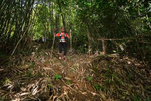 BIB: 
                            <button type="button" onclick="openModal(21745660)" class="btn btn-primary btn-sm float-right btn-popup" data-toggle="modal" data-target=".modal-high-quality">
                        <i class="fas fa-shopping-cart"></i> Add to Cart
                    </button>
                                            <button type="button" onclick="isThisMe(21745660, true)" class="btn btn-success btn-sm float-right btn-popup btn-isme hidden" data-toggle="tooltip" data-placement="bottom" title="นี่คือรูปของคุณใช่ไหม คลิกที่นี่เพื่อเอาเข้าอัลบั้ม">
                        <i class="fas fa-plus"></i> Add to album
                    </button>
                    <button type="button" onclick="isThisMe(21745660, false)" class="btn btn-warning btn-sm float-right btn-popup btn-isnotme hidden">
                        <i class="fas fa-ban"></i> Remove from album
                    </button>