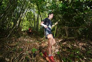 BIB: 
                            <button type="button" onclick="openModal(21749596)" class="btn btn-primary btn-sm float-right btn-popup" data-toggle="modal" data-target=".modal-high-quality">
                        <i class="fas fa-shopping-cart"></i> Add to Cart
                    </button>
                                            <button type="button" onclick="isThisMe(21749596, true)" class="btn btn-success btn-sm float-right btn-popup btn-isme hidden" data-toggle="tooltip" data-placement="bottom" title="นี่คือรูปของคุณใช่ไหม คลิกที่นี่เพื่อเอาเข้าอัลบั้ม">
                        <i class="fas fa-plus"></i> Add to album
                    </button>
                    <button type="button" onclick="isThisMe(21749596, false)" class="btn btn-warning btn-sm float-right btn-popup btn-isnotme hidden">
                        <i class="fas fa-ban"></i> Remove from album
                    </button>