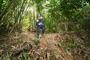 BIB: 
                            <button type="button" onclick="openModal(21785505)" class="btn btn-primary btn-sm float-right btn-popup" data-toggle="modal" data-target=".modal-high-quality">
                        <i class="fas fa-shopping-cart"></i> Add to Cart
                    </button>
                                            <button type="button" onclick="isThisMe(21785505, true)" class="btn btn-success btn-sm float-right btn-popup btn-isme hidden" data-toggle="tooltip" data-placement="bottom" title="นี่คือรูปของคุณใช่ไหม คลิกที่นี่เพื่อเอาเข้าอัลบั้ม">
                        <i class="fas fa-plus"></i> Add to album
                    </button>
                    <button type="button" onclick="isThisMe(21785505, false)" class="btn btn-warning btn-sm float-right btn-popup btn-isnotme hidden">
                        <i class="fas fa-ban"></i> Remove from album
                    </button>