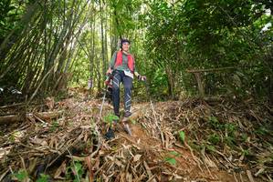 BIB: 
                            <button type="button" onclick="openModal(21788654)" class="btn btn-primary btn-sm float-right btn-popup" data-toggle="modal" data-target=".modal-high-quality">
                        <i class="fas fa-shopping-cart"></i> Add to Cart
                    </button>
                                            <button type="button" onclick="isThisMe(21788654, true)" class="btn btn-success btn-sm float-right btn-popup btn-isme hidden" data-toggle="tooltip" data-placement="bottom" title="นี่คือรูปของคุณใช่ไหม คลิกที่นี่เพื่อเอาเข้าอัลบั้ม">
                        <i class="fas fa-plus"></i> Add to album
                    </button>
                    <button type="button" onclick="isThisMe(21788654, false)" class="btn btn-warning btn-sm float-right btn-popup btn-isnotme hidden">
                        <i class="fas fa-ban"></i> Remove from album
                    </button>