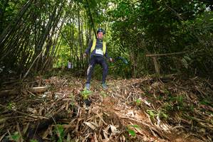 BIB: 
                            <button type="button" onclick="openModal(21750619)" class="btn btn-primary btn-sm float-right btn-popup" data-toggle="modal" data-target=".modal-high-quality">
                        <i class="fas fa-shopping-cart"></i> Add to Cart
                    </button>
                                            <button type="button" onclick="isThisMe(21750619, true)" class="btn btn-success btn-sm float-right btn-popup btn-isme hidden" data-toggle="tooltip" data-placement="bottom" title="นี่คือรูปของคุณใช่ไหม คลิกที่นี่เพื่อเอาเข้าอัลบั้ม">
                        <i class="fas fa-plus"></i> Add to album
                    </button>
                    <button type="button" onclick="isThisMe(21750619, false)" class="btn btn-warning btn-sm float-right btn-popup btn-isnotme hidden">
                        <i class="fas fa-ban"></i> Remove from album
                    </button>