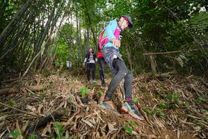 BIB: 
                            <button type="button" onclick="openModal(21755645)" class="btn btn-primary btn-sm float-right btn-popup" data-toggle="modal" data-target=".modal-high-quality">
                        <i class="fas fa-shopping-cart"></i> Add to Cart
                    </button>
                                            <button type="button" onclick="isThisMe(21755645, true)" class="btn btn-success btn-sm float-right btn-popup btn-isme hidden" data-toggle="tooltip" data-placement="bottom" title="นี่คือรูปของคุณใช่ไหม คลิกที่นี่เพื่อเอาเข้าอัลบั้ม">
                        <i class="fas fa-plus"></i> Add to album
                    </button>
                    <button type="button" onclick="isThisMe(21755645, false)" class="btn btn-warning btn-sm float-right btn-popup btn-isnotme hidden">
                        <i class="fas fa-ban"></i> Remove from album
                    </button>